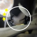 이시아오토리페어 네이버블로그