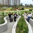 문화정보도서관 주차장 이미지