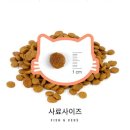 캣츠앤 | [고양이 사료] 우리의 나투라다이어트 캣츠 살몬앤베지스 체험 후기