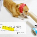 (주)노즈워크 이미지