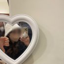 경주지지관광호텔 이미지