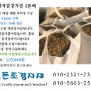 자갈자갈 이미지