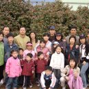 서해안동백꽃 이미지