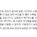 현금농장 이미지