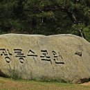 광릉 수목원의 야생화-1 이미지