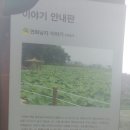 수도권 근처 가볼만한 다산길과 물의정원 여행후기
