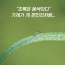 ◆＜一讀＞한국인들은 좌파들 선동에 어떻게 세뇌되었을까? 이미지