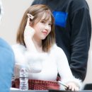 로하