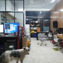 리빙공인중개사무소 이미지