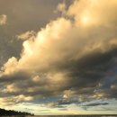 천곡방파제 이미지