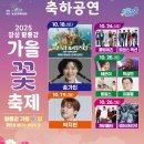황룡강변2 | [여행] 인생샷 100만장 보장! 2025 장성 황룡강 가을꽃 축제, 10월 18일 놓치지 마세요