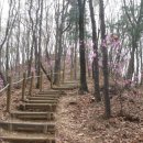 상현초등학교 이미지