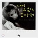 준코 Daum카페