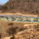 진안읍 1380 이미지