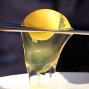 김태현농장 이미지