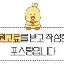 JKJ복싱 이미지
