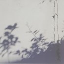 名詩短評(74-1) 햇살이 그린 수묵화, 아름다운 협연의 앙상블 / 벽화 ( 김애경) 이미지