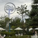 장아산로 | 인천 식물원 카페 빌리(BILY) 후기｜아이와 가기 좋은 대형카페, 주말 나들이 추천