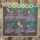 경기도 대형 놀이터::초막골 생태공원 숲놀이터로 봄나들이 떠나보세요!!(주차팁&amp;준비물 리스트)