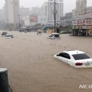 기록적인 폭우에 차량 침수…보험처리 이렇게 하면 된다 이미지