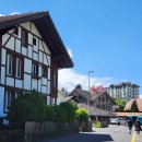 플로라 호스텔 | 인터라켄 여행 숙소 추천 : 스위스 여행 경비 아껴주는 한인민박