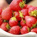 고읍농장 이미지