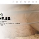 나비야화장품