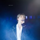 폴콘 이미지