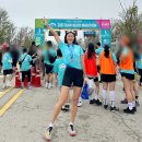 수성당 | 2025년 전북 부안해변마라톤대회 후기 런트립 추천 코스 수성당 유채꽃