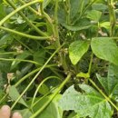 청자농장 이미지