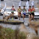 파주통일경기-파주-통일12 이미지