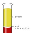 혈액에대한 이야기 이미지