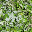 예천식품 반찬 | 주말 부부모임~시골에서 삼겹살 구웠더니 연기까지 감성이었다