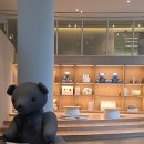 스테이740 | 제주 신라스테이 플러스 이호테우 스탠다드 더블 가든뷰 수영장 솔직 후기