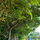 금마성모어린이집 이미지