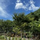 지리산자연애펜션 네이버블로그