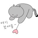 살롱드웨일 이미지