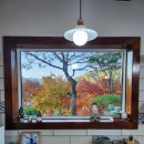 우아한 게으름 이미지