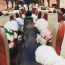 신만농장 이미지