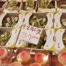 신용청과마트