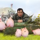돼지야 이미지