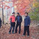 대둔산장 - 26718 | 대둔산장