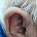 독일 렉스톤 보청기 | 독일렉스톤보청기 의정부점 후기👂 정확한 청력검사와 맞춤 상담까지 완벽했던 곳!