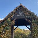 백설 애견샵 | 춘천 당일치기 여행 아이와 가기 좋은 단풍명소 추천 제이드가든 방문 솔직 후기