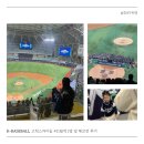 동양밧데리종합카센타 | 어라 오늘은 좀 재밌네? K-BASEBALL 체코전 둘째날 후기, 고척스카이돔 4층지정석 411블록 J열 좌석...