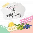 과일이야기 - 강진군 시장길 19 | 과일이야기