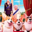 프린스 코기 이미지