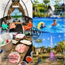 금포로 | 김포 캠크닉 와일드그릴 서울 근교 물놀이 가능한 바베큐장 후기