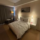 라마다프라자호텔수원 | 라마다프라자수원 호텔 디럭스룸 호캉스 후기 어매니티 헬스장 사우나