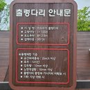 아우라지 출렁다리 이미지